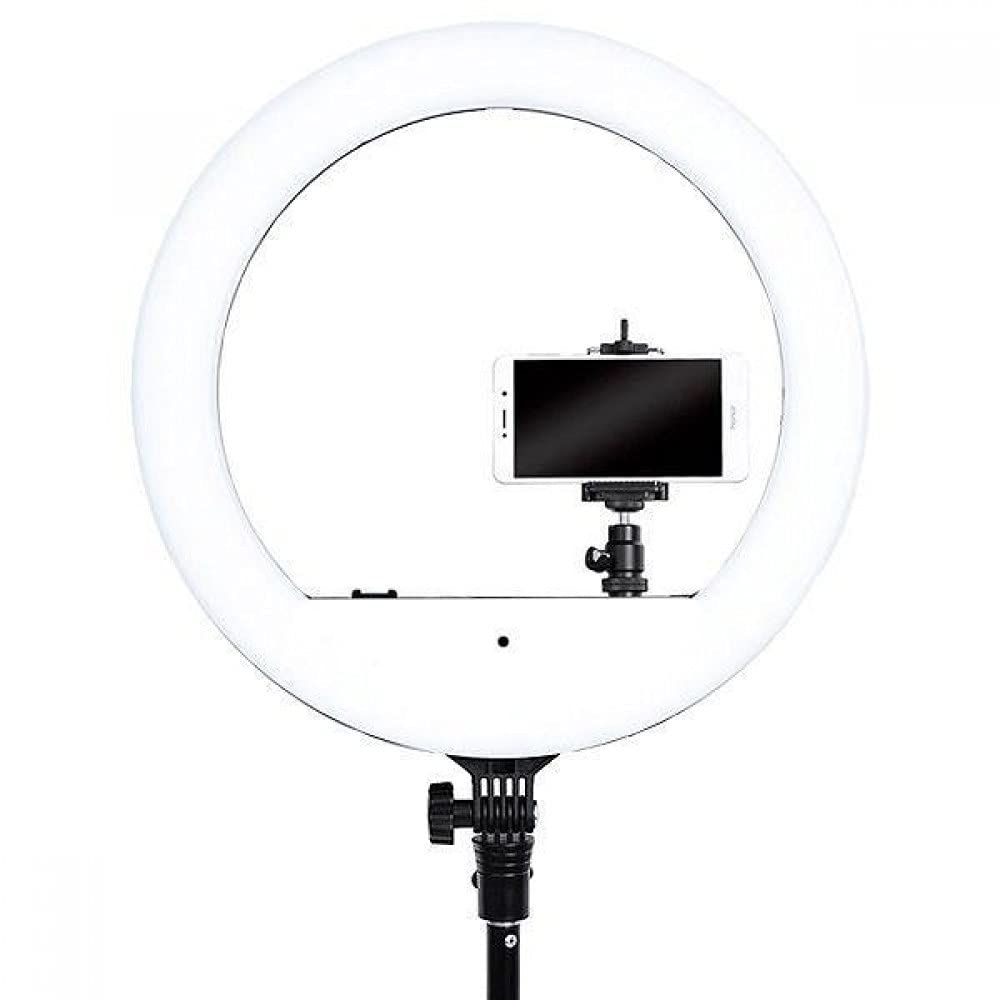 Trinx Davaughn 10 Inch RGB Desk Ring Light with Stand and Phone Holder LED  Selfie Light with Rainbow Color | Wayfair
