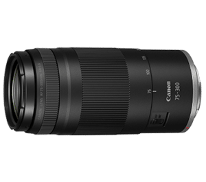 CANON RF75-300MM F/4-5.6 LENS